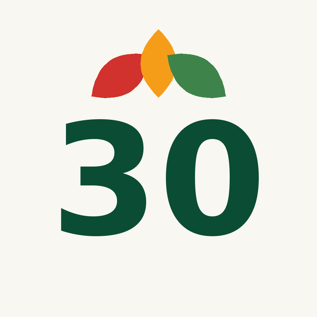 Magic 30 app icon